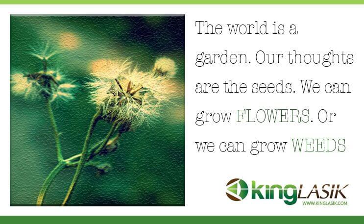 We can Grow Flowers